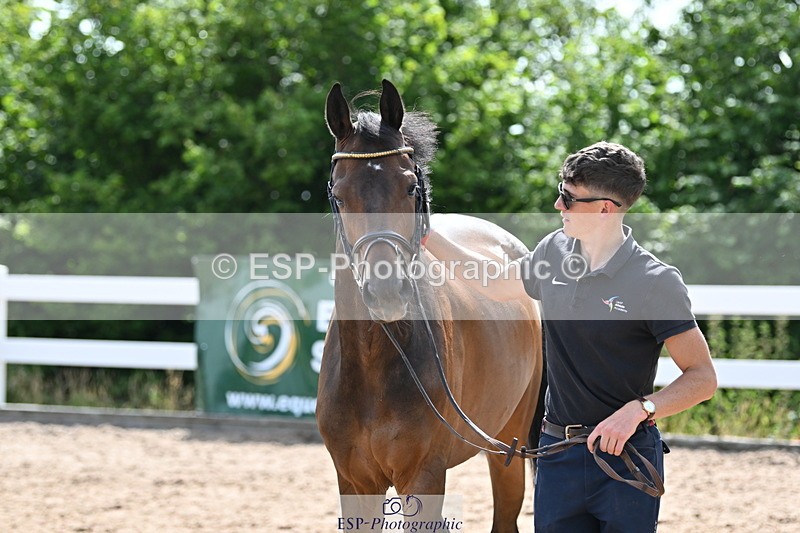 240717A-153456-02897 - Trot Up 3pm to 4pm