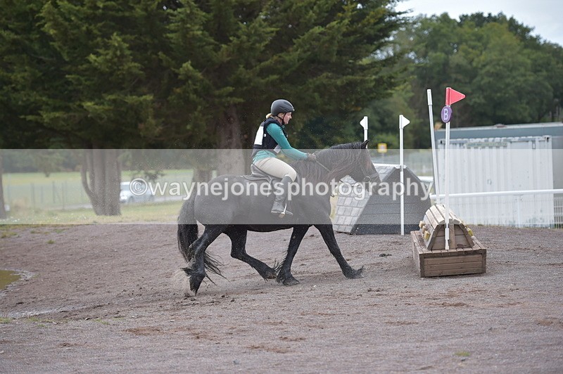 NGP_2823 - XC Time 11:37 to 11:57