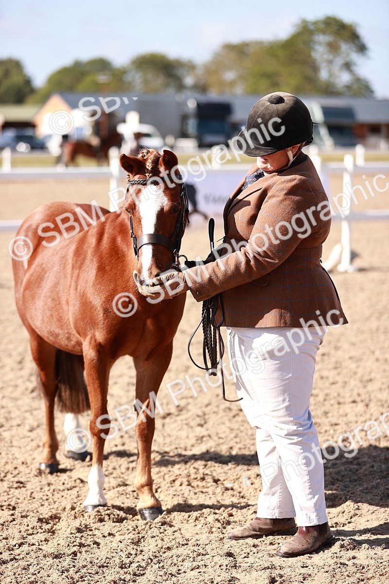 SBM_22725 - Class 704 - IH  Rescue