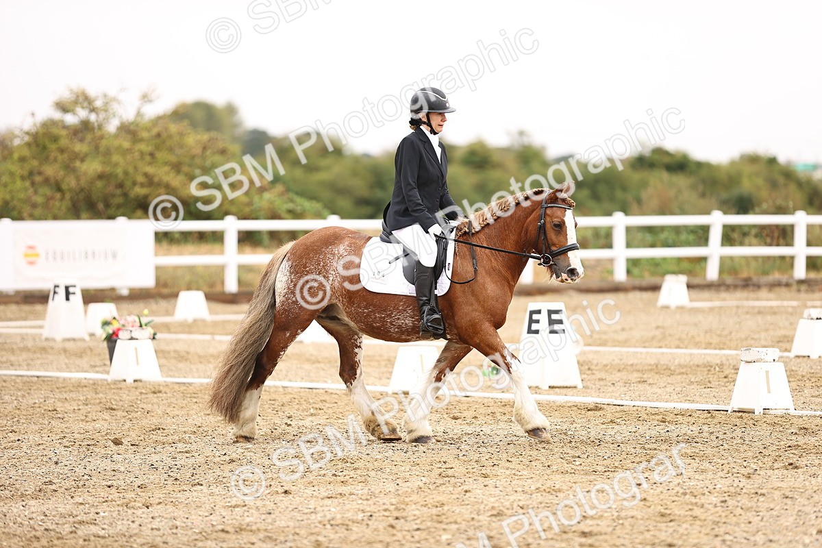 SBM_001003