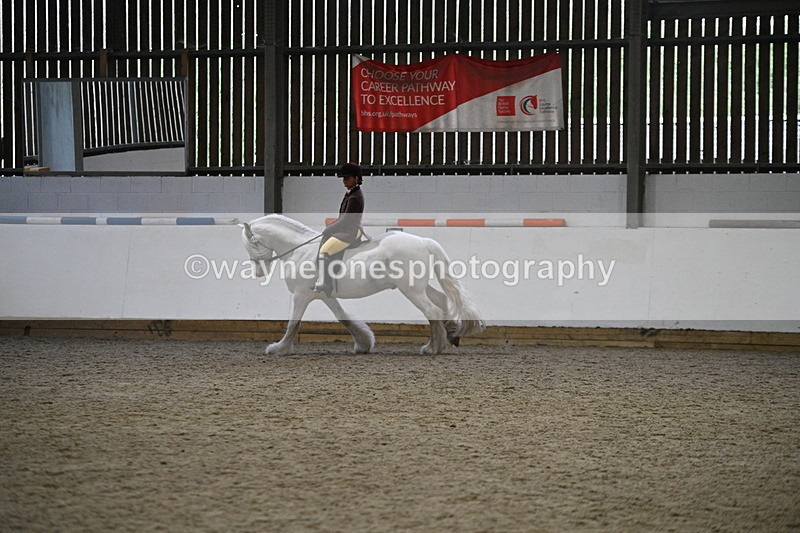 WJ7_3671 - Class 16 Ridden Coloured/ Odd Coloured