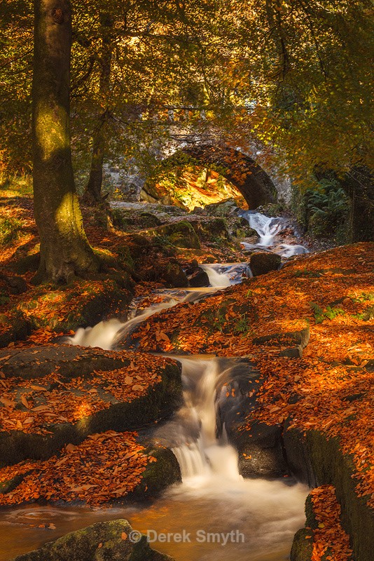 Glorious Autumn Colours By The Cloughleagh River