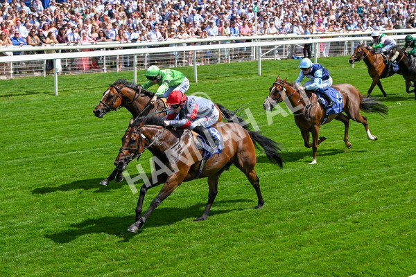 280625-Race 3-Squealer-0251 - Race 3 3.00pm Al Basti Equiworld Dubai Dash Handicap