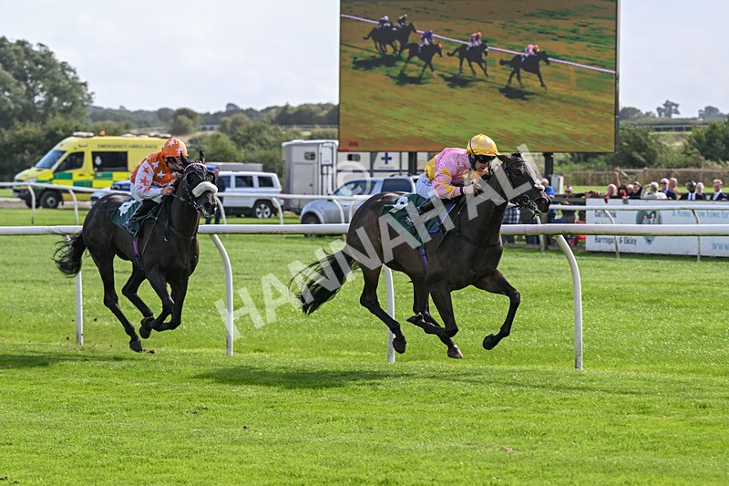080926-Race 3-Battenburg Belle-2285 - Race 3 3.03pm Fifth Regiment Royal Artillery Handicap (Div I)