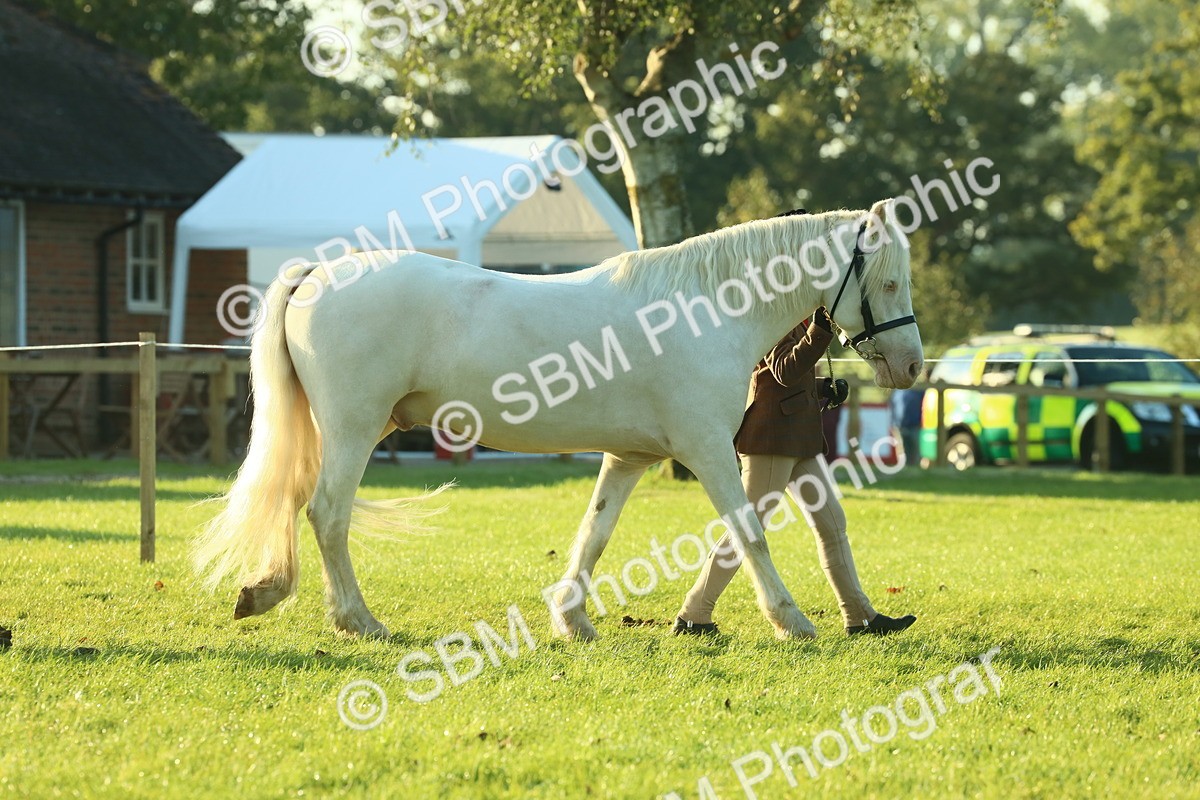 SBM_57294 - S37 - Starters In Hand Showing