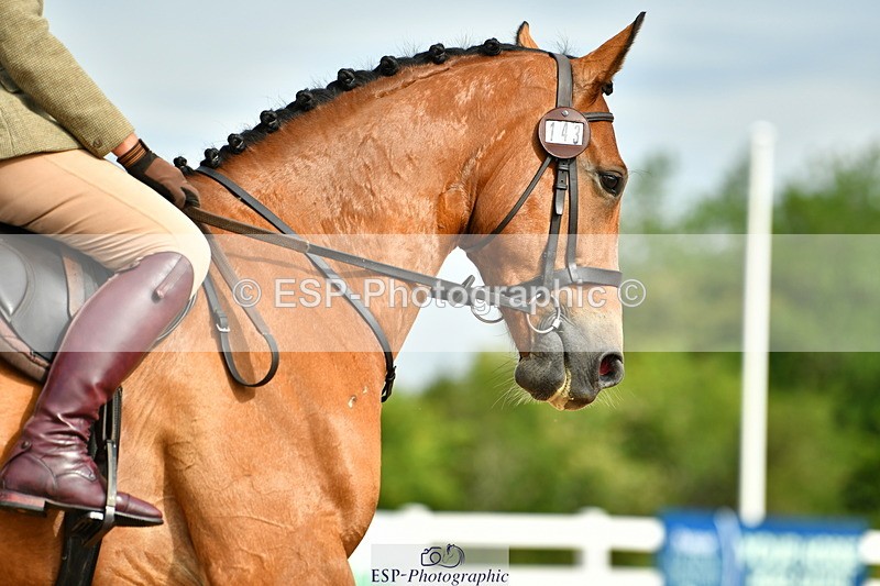 230708A-092534-02086 - Prelim 13