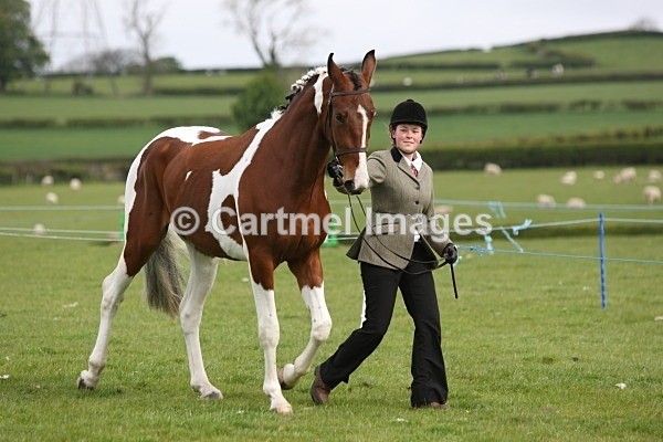 MBMAY 7843 - Morecambe Bay Riding Club May 2012 - In Hand