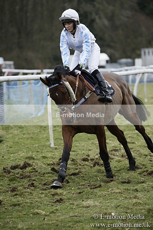 PtP 110318 328 - Hampshire Hunt Point-to-Point Hackwood Park 11/03/18