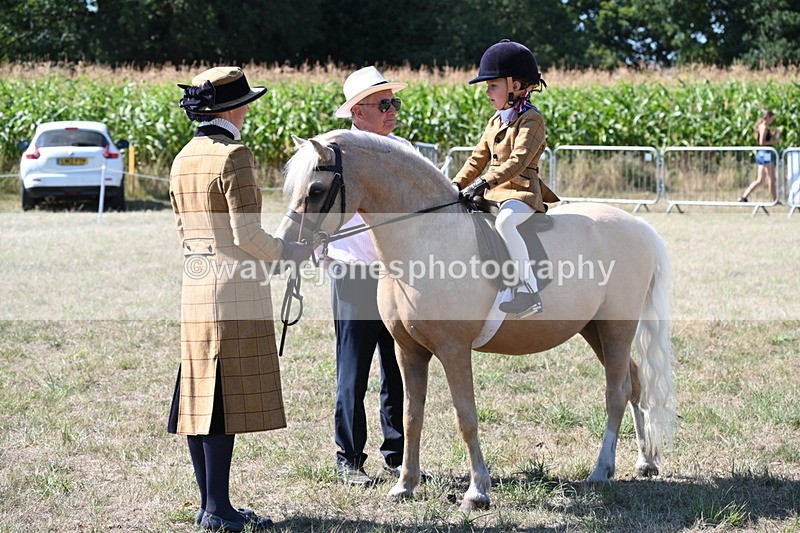 WJ6_8032 - Class 36 Lead Rein