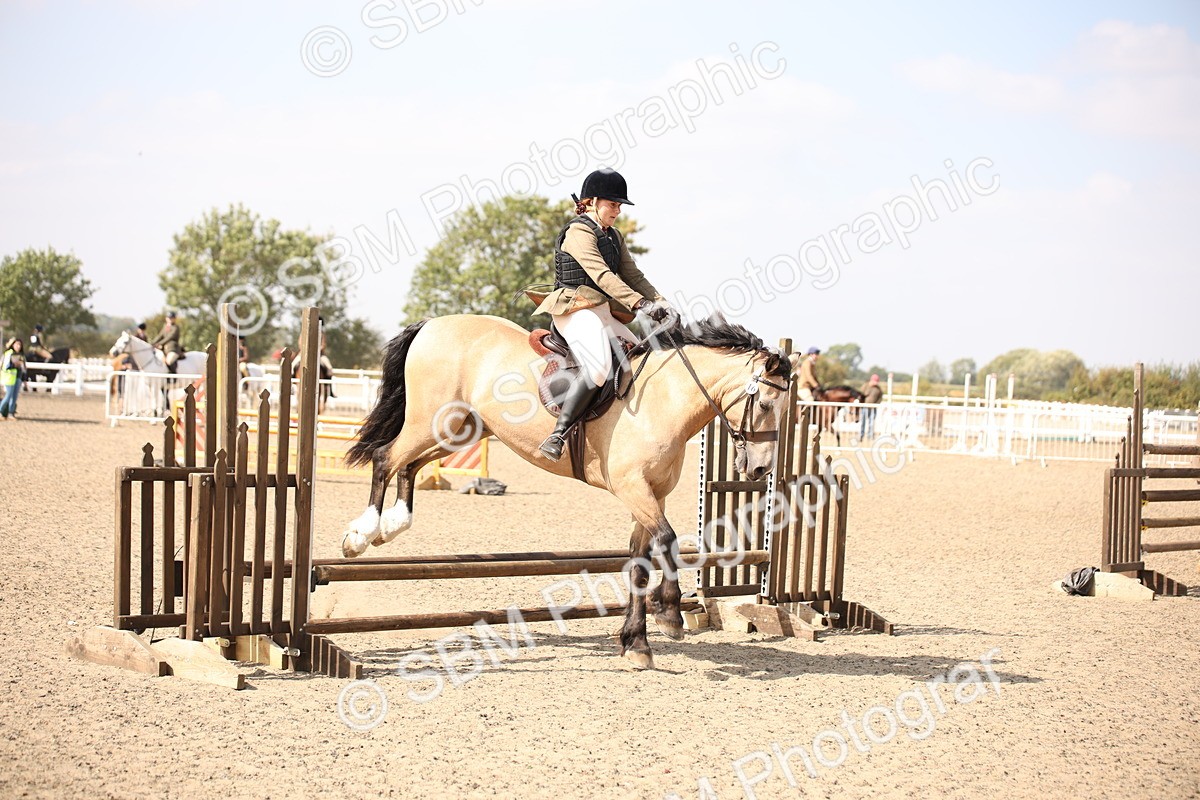 SBM_14161 - Class 407a - Working Veteran 60cm (15-19