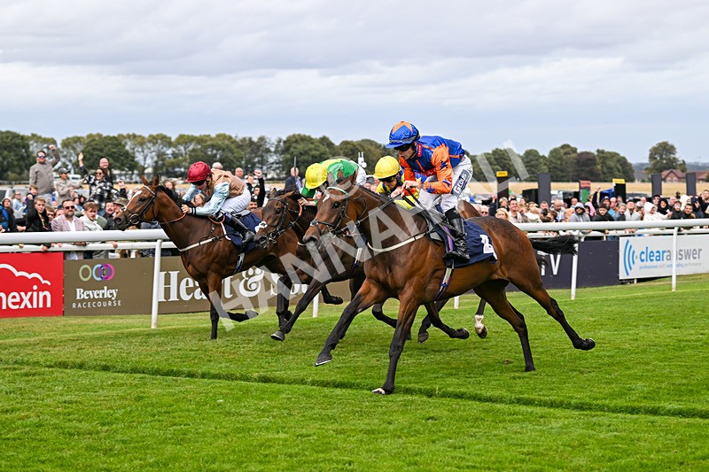 250824-Race 3-Blueandtangerine-3252 - Race 3