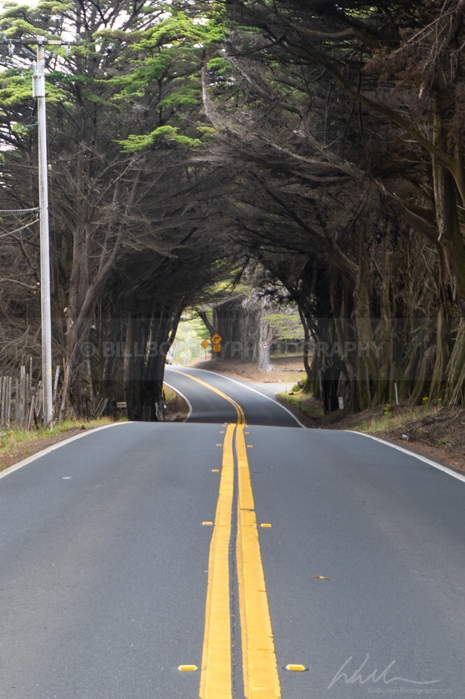 DSC_2874 - Roads