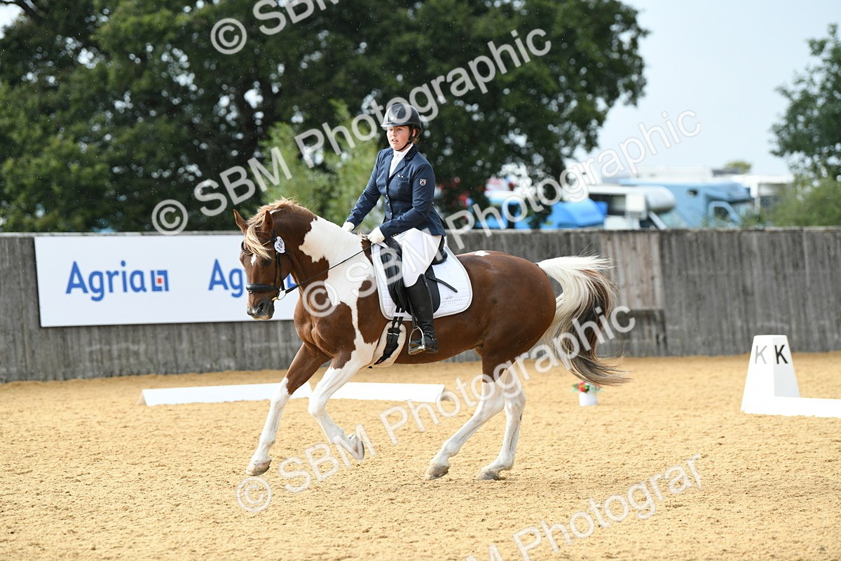 SBM_11082 - D28 Elementary Taster Elementary 42