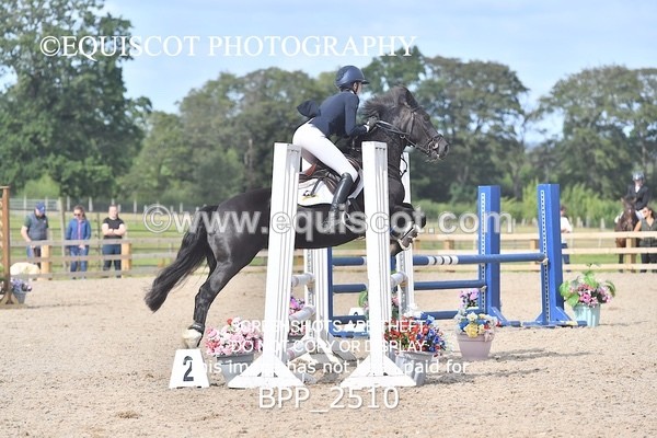 BPP_2510 - DERBY CLASS 7 - 80CM