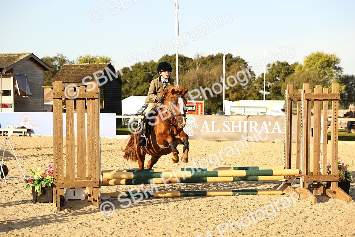 SBM_57215 - J11 - Junior Pony 50cm Championship