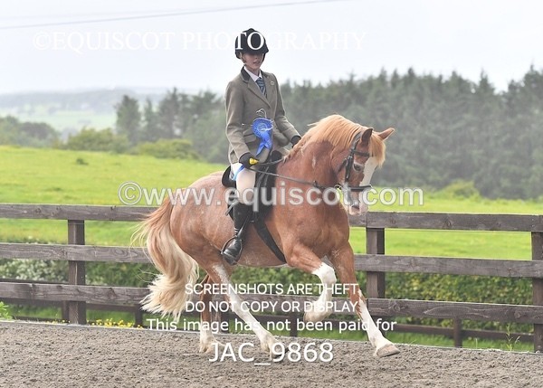 JAC_9868 - CLASS 2 Novice Working Hunter (0.60m - 0.70m)