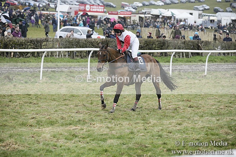 PtP 020418 -275 - Old Berks Point-to-Point Races Easter Monday 02/04/18