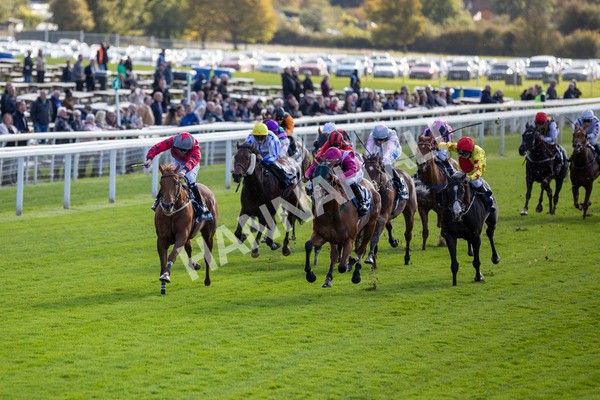 111024-Race 1-Empirestateofmind-6825 - Race 1 1.30pm William Hill Top Price Guarantee Autumn Handicap