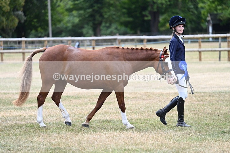 WJ7_2126 - Prettiest Mare Champs