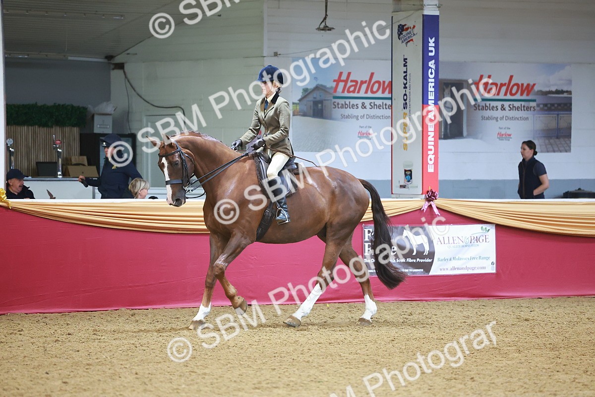 SBM_10657 - Class 103 - HOYS Veteran Qualifier - Ridden Pre Vet