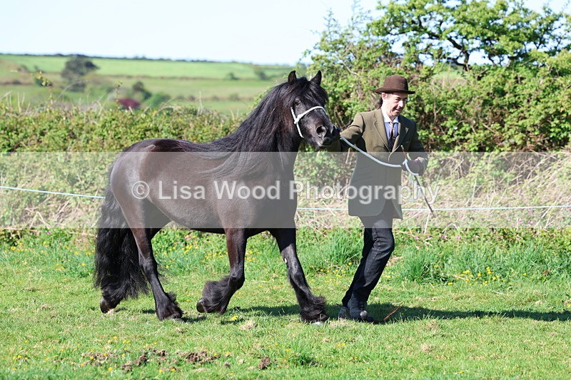 3E7A8565 - Class 13: M & M Large Breeds