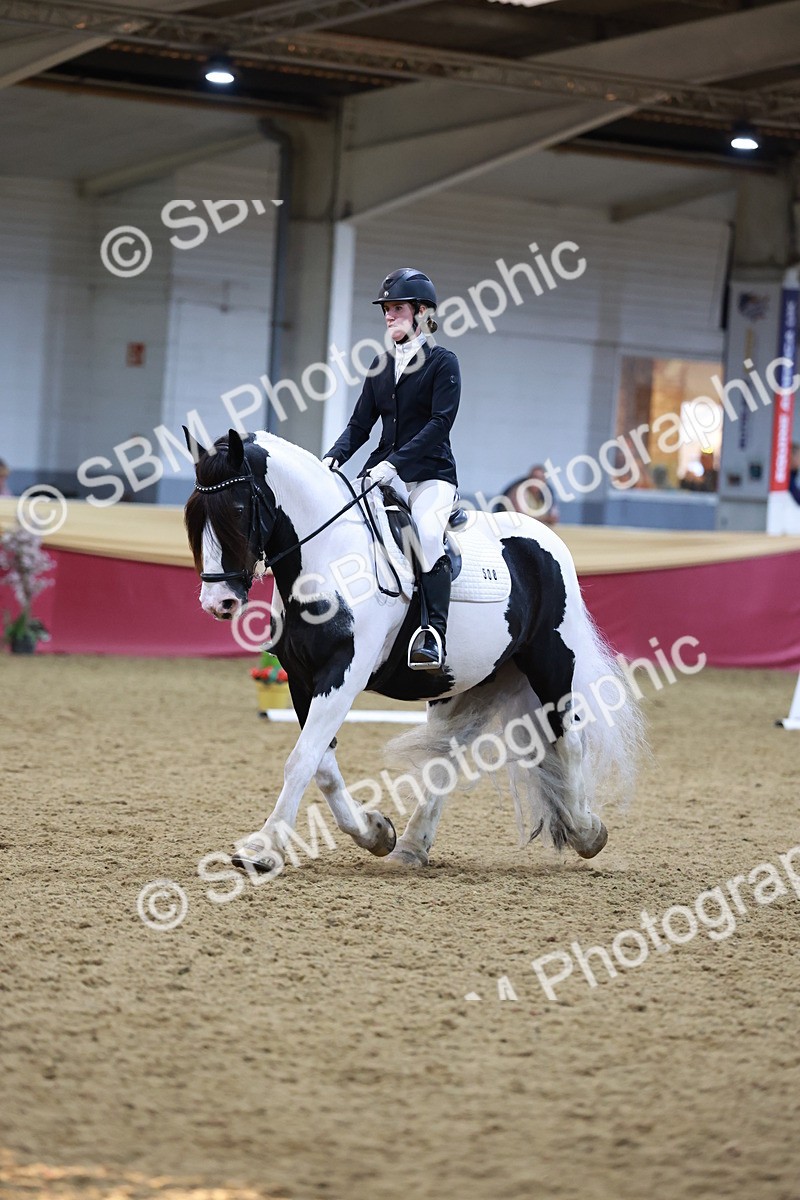 SBM_09949 - Class 61 - Dressage to Music