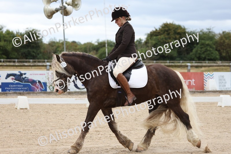 20250706-0193 - Class 14 - Prelim 6