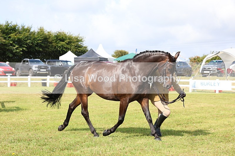 3E7A9158 - Class 3: Rising Star S/L Hunter