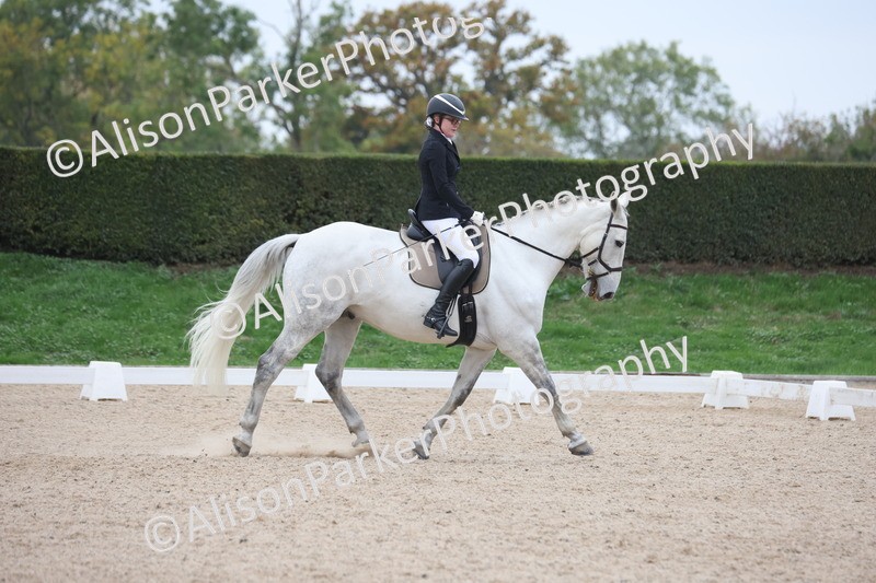 20251011-0438 - Class 4 - Novice 2