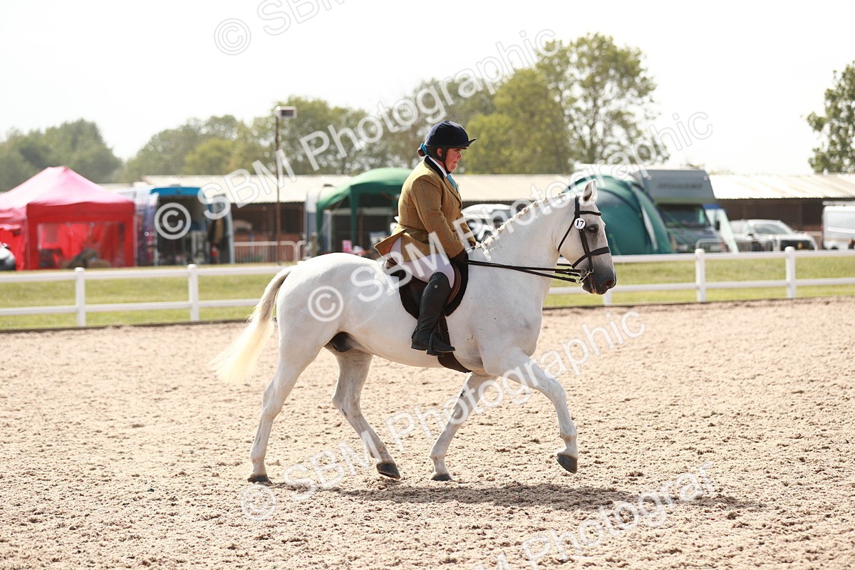 SBM_14844 - Class 212 Ridden Hunter - Small