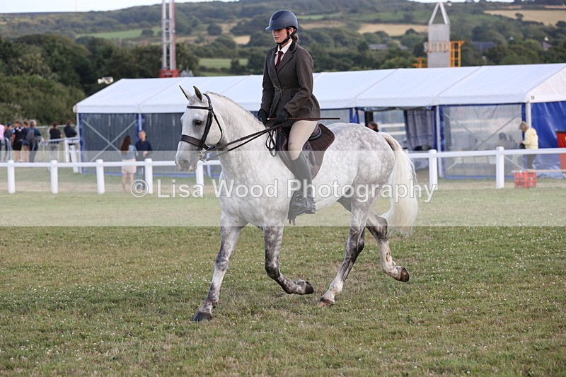 JPP_3568 - Class 22: Working Hunter 90cm