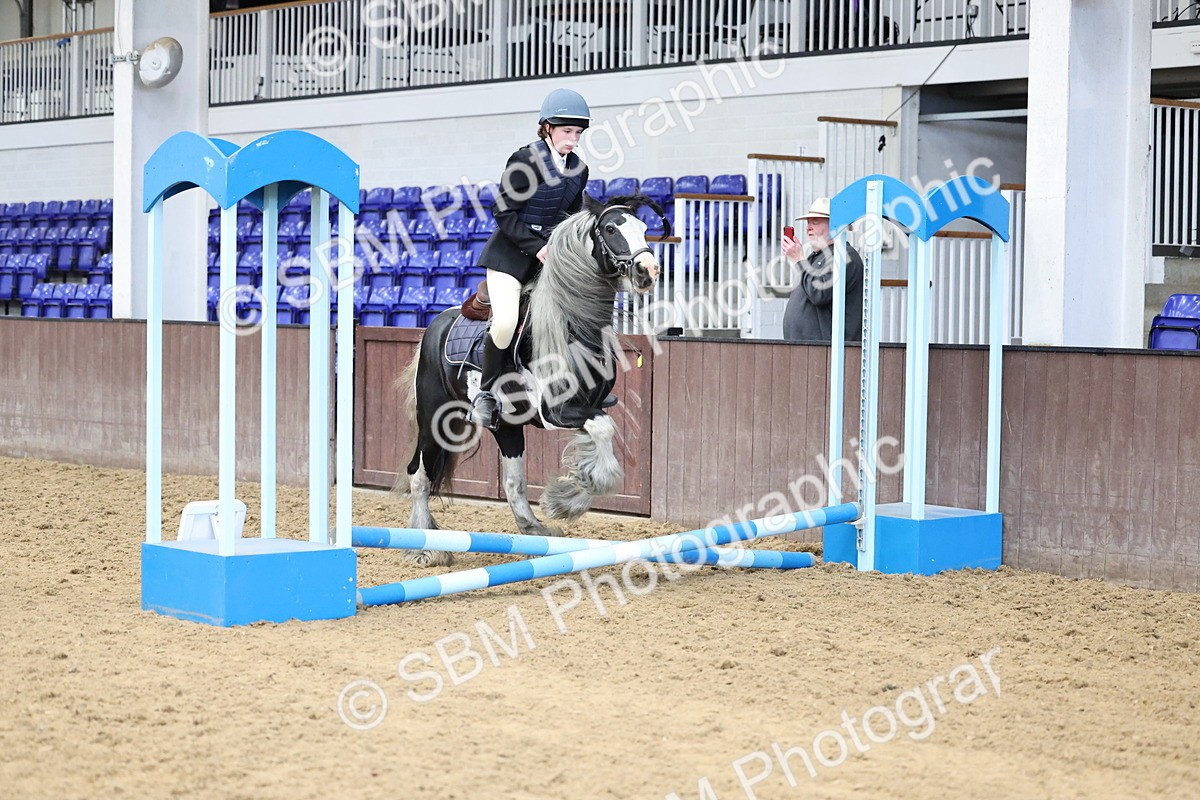 SBM_006973 - Class 1 - 40cm showjumping