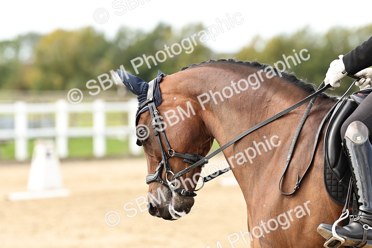 SBM_004953 - Class 73 - Medium 2