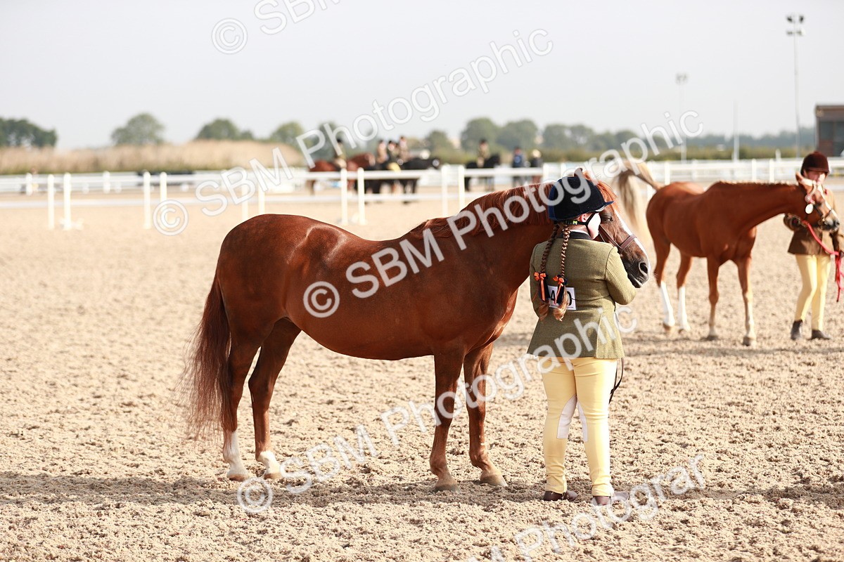 SBM_09881 - Class 203 Young Handler, 10 years and under