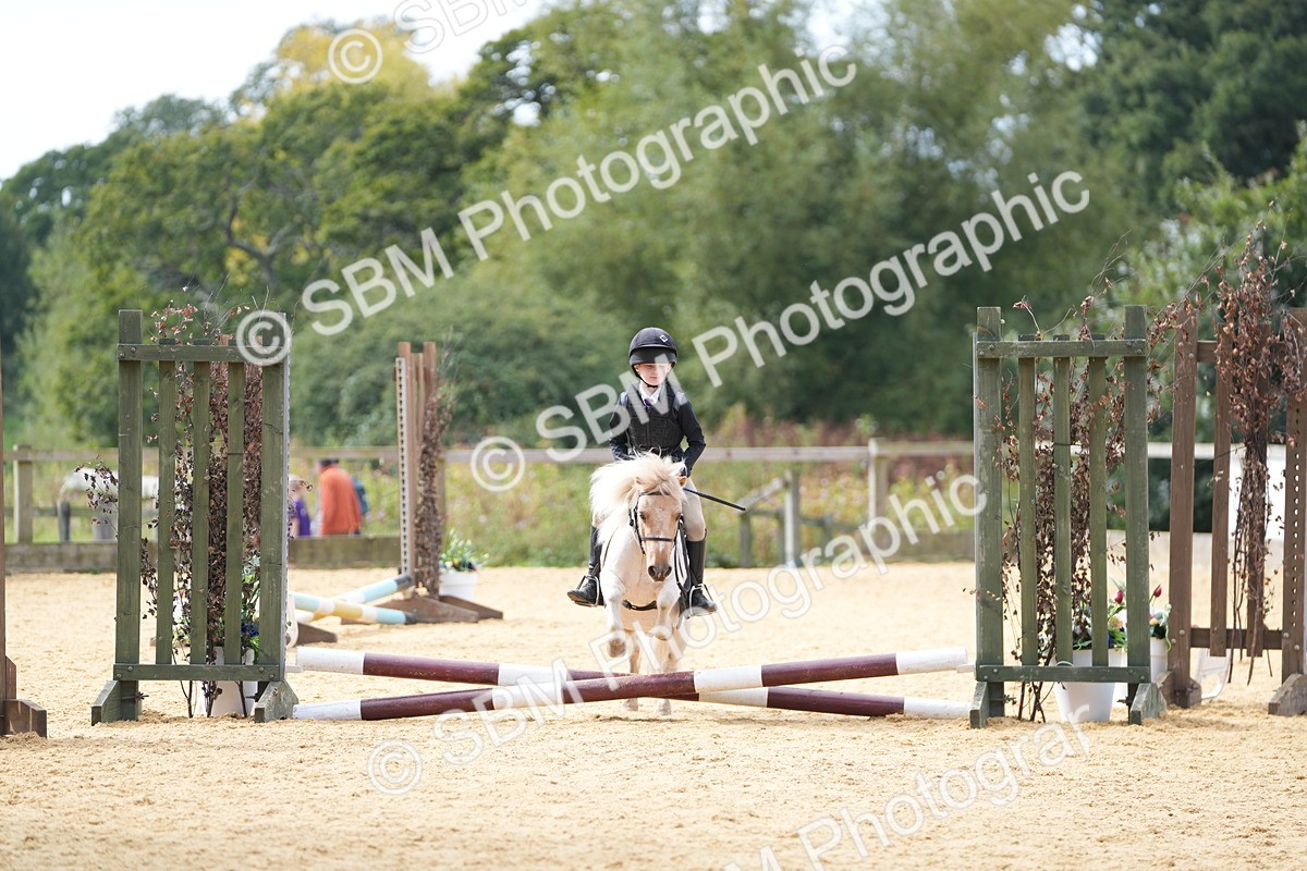 SBM_64575 - J2 - Mini Tour Junior Pony 30cm Championship