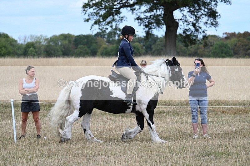 WJ7_4808 - Class 12 Ridden Cob