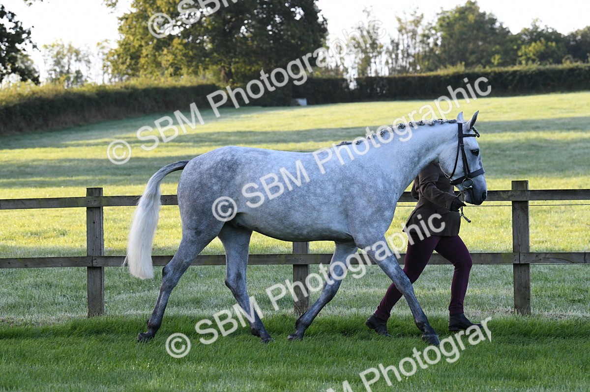 SBM_32593 - S15 - Condition & Turnout In Hand