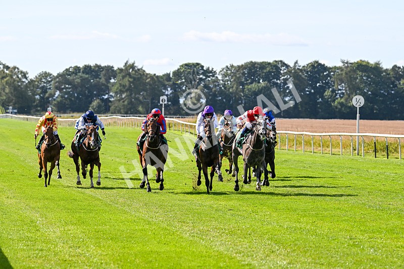 160924-Race 2-Magic Love-2616 - Race 2