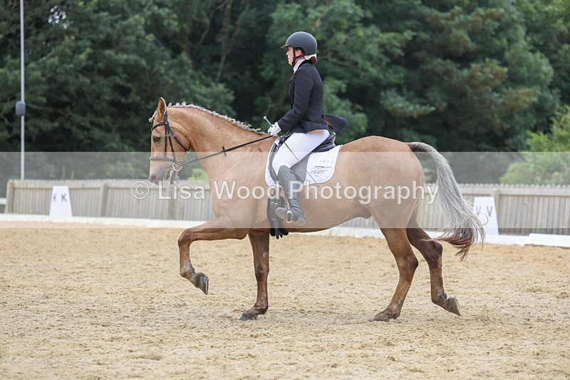 3E7A6398 - Class 4: Prelim 4 2024 - Section B