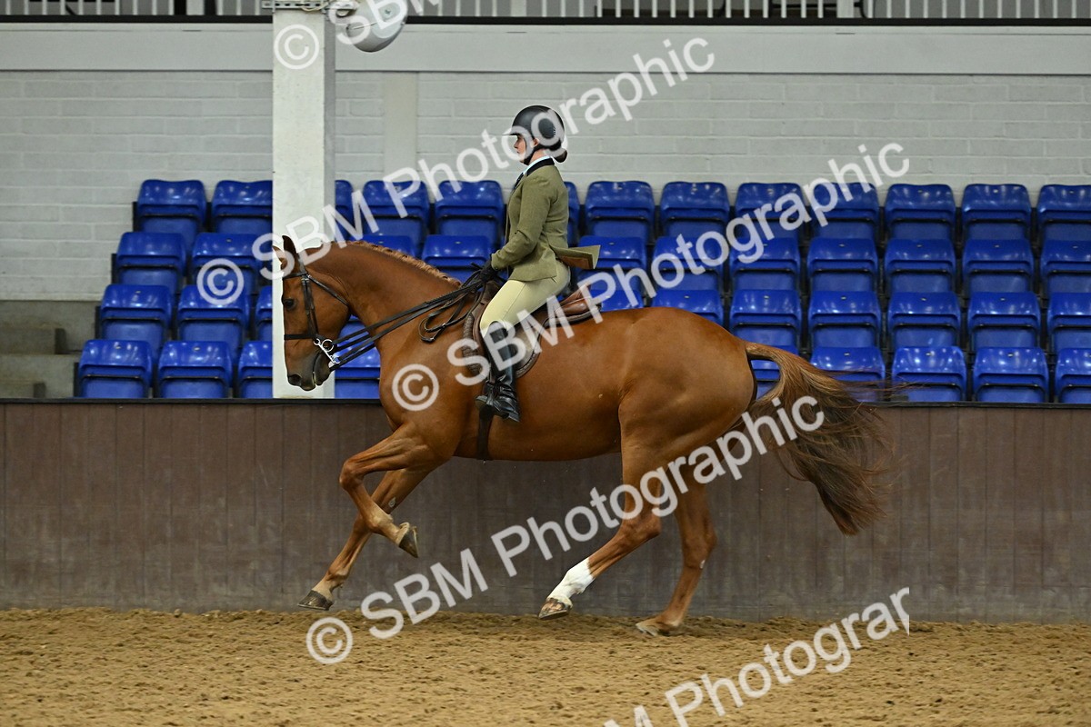 SBM_002092 - Class 23 - BSHA Ridden Show Hunter