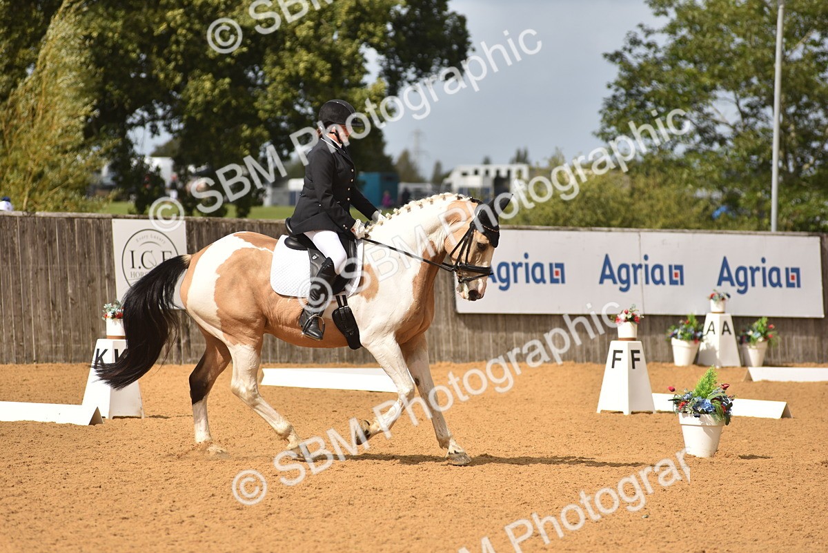 SBM_07754 - D15 - Small Tour Championship Novice 1