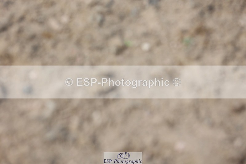 230617-153304-05438 - Cls 09 Blue Chip Pony Newc 1st Rnd