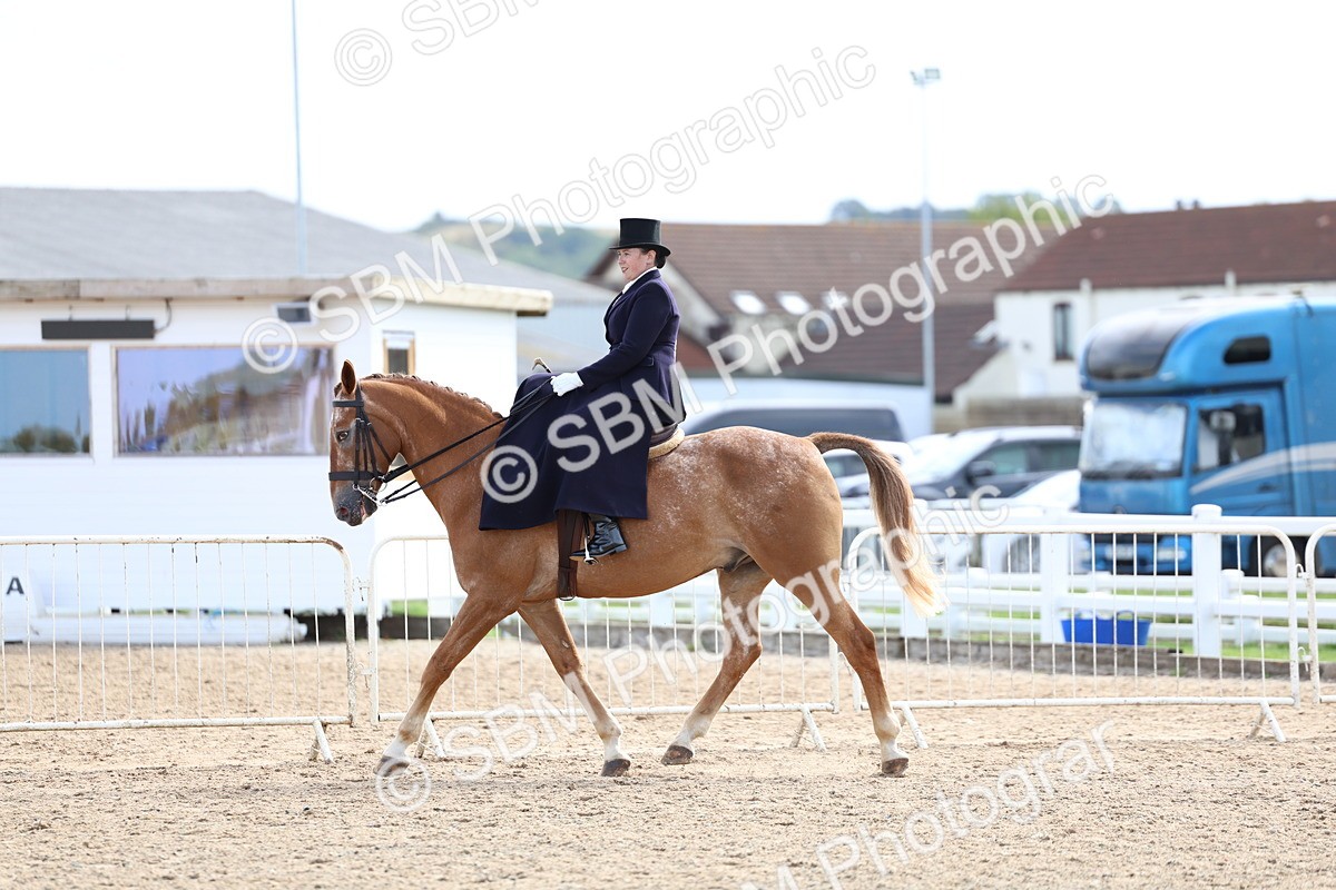 SBM_03244 - Class 22 - SSA Equitation (any age)