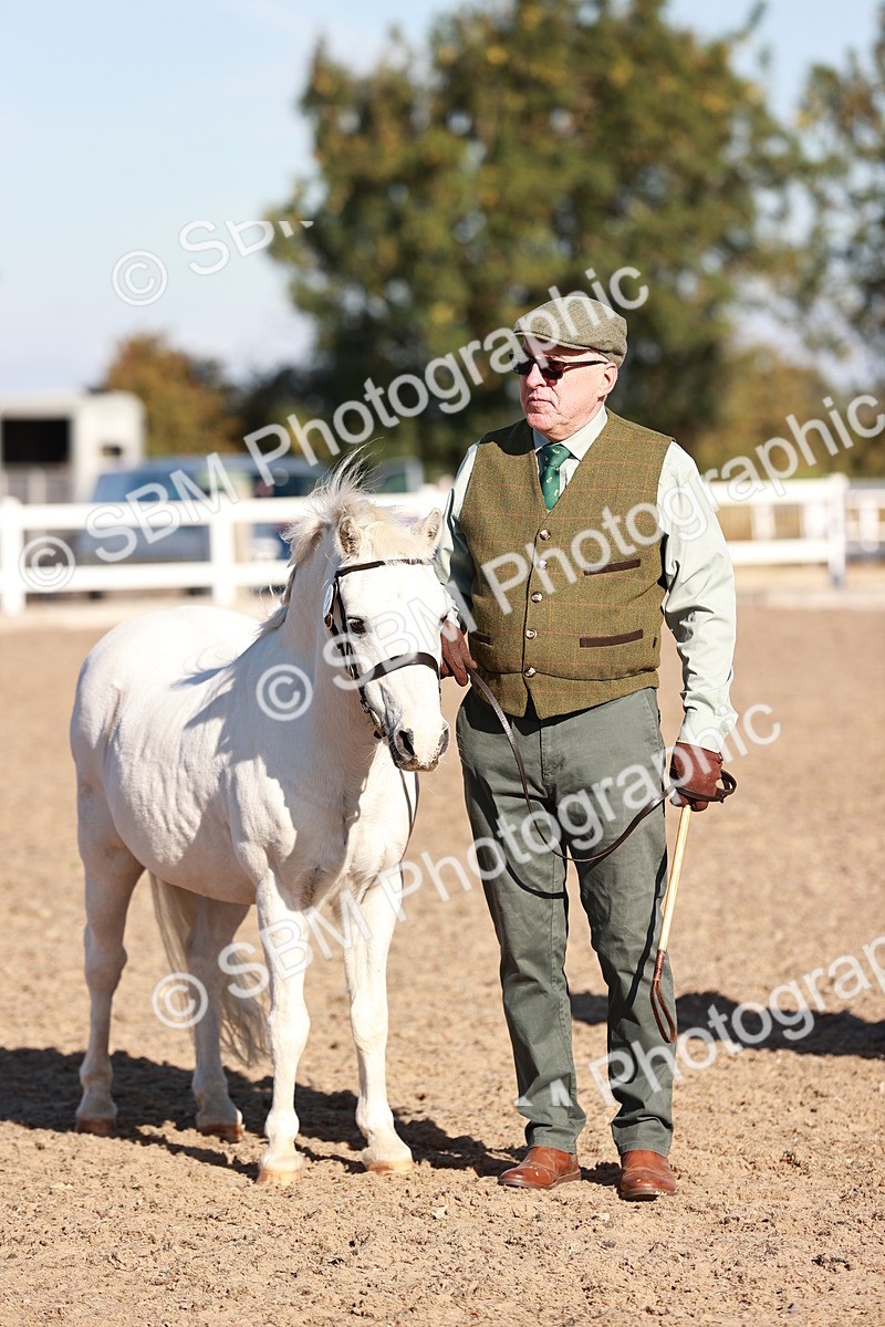 SBM_11454 - Class 402 - IH  Veteran pony