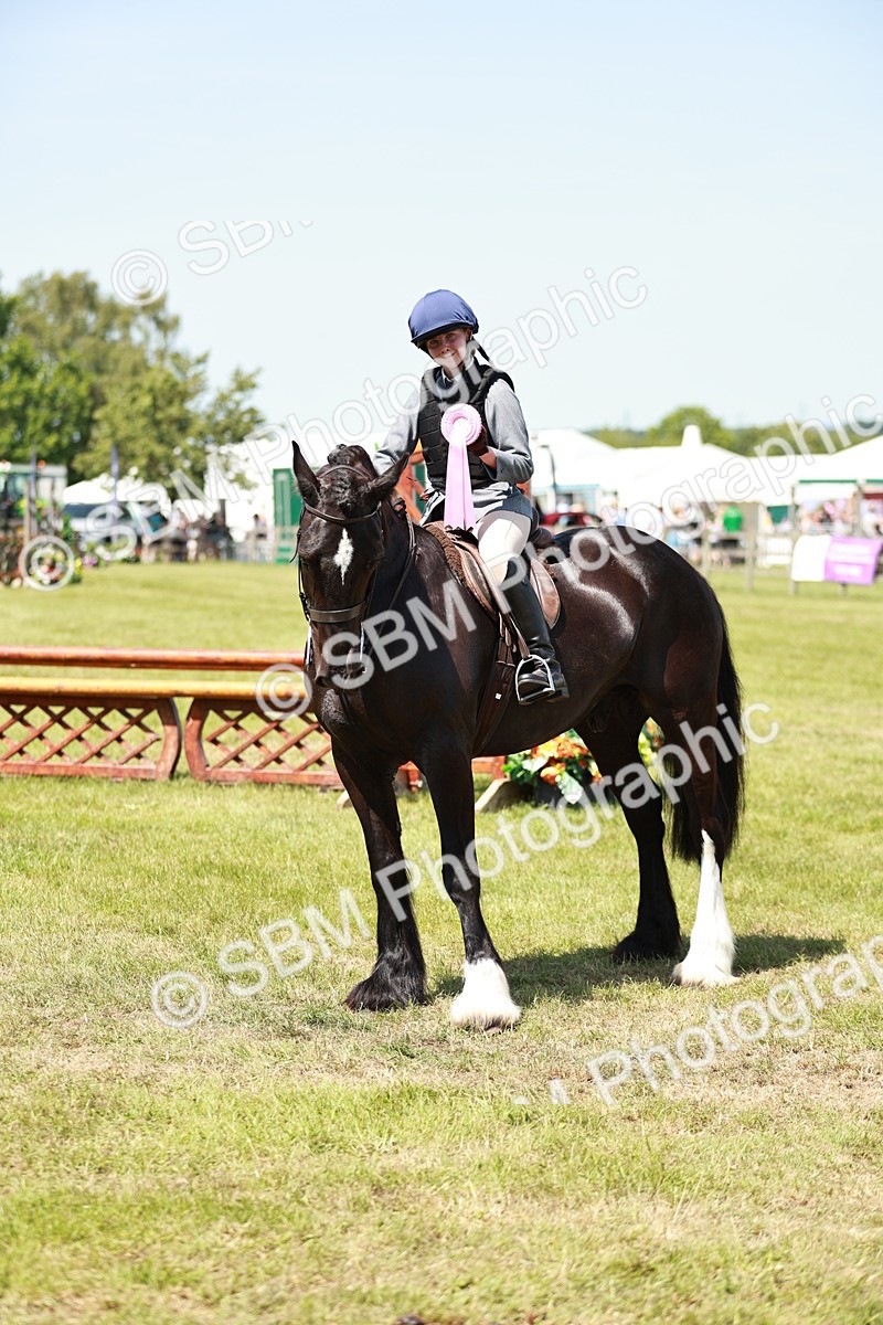 SBM_16425 - Class 110-111 - Training Stakes (70cms 80cms)