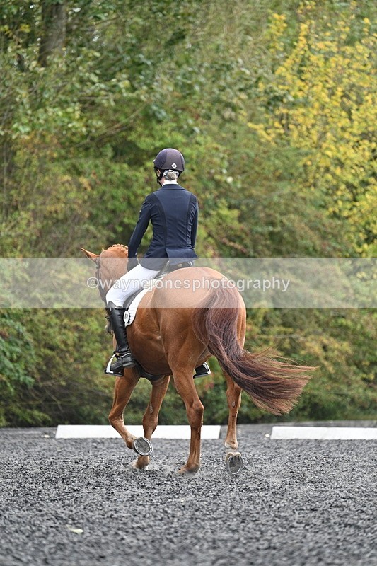 WJ7_6663 - Time 14:49 to 15:14