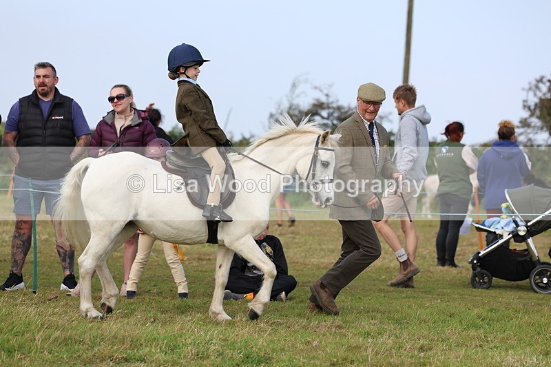 3E7A3484 - Class 2: Lead rein