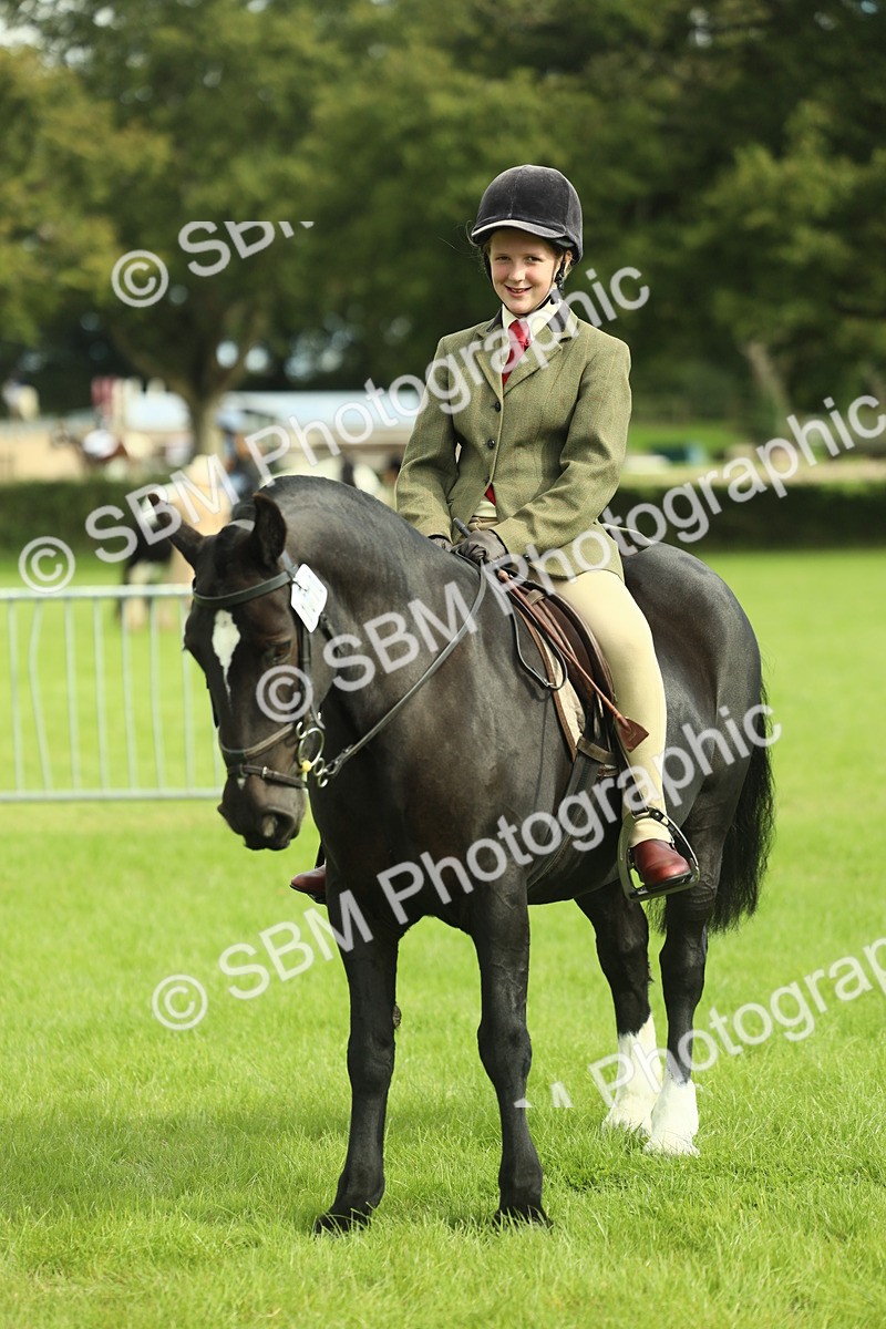 SBM_44784 - S31 - Working Hunter Pony