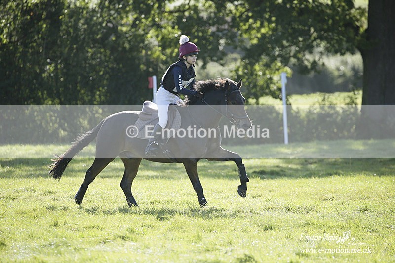  WWHT 031021 862 - WWEC Novice Restricted (0.80m) 18/10/20