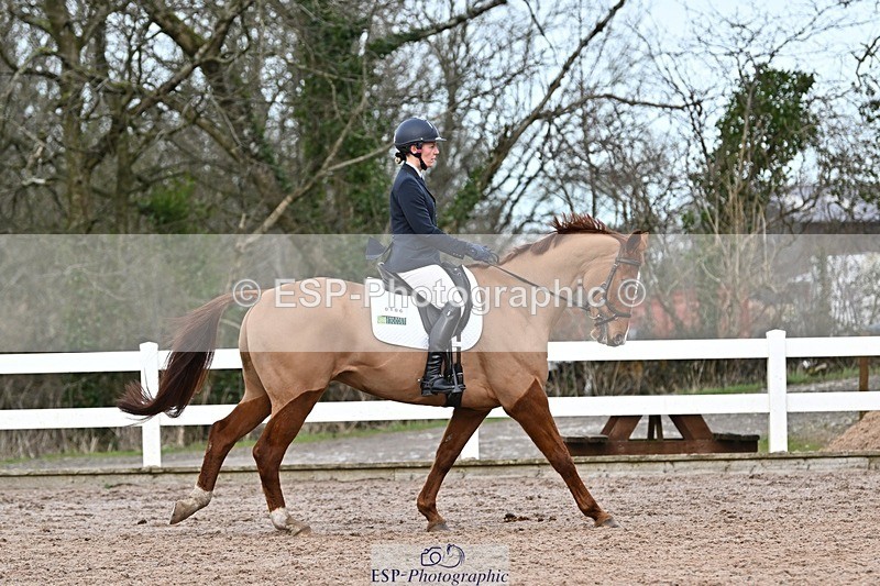 250125-134223-00676 - Dressage - CT Class 7 BE Novice 112